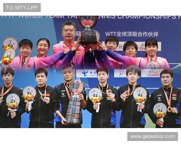 成都乒乓球队荣登全国比赛经验排行榜第五名展现实力与潜力