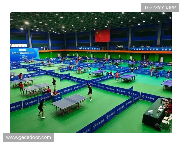 精英赛点评：上海乒乓球队的状态表现