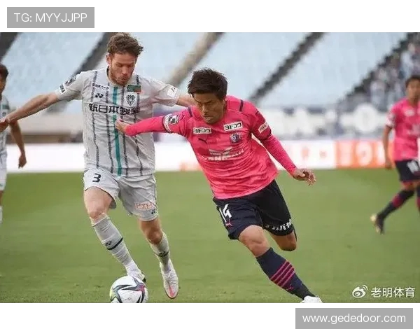 福冈黄蜂与东京绿茵比赛前瞻及胜负预测分析